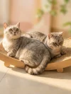 Premium Wooden Cat Scratcher Bed (2-in-1 Sisal Lounge)