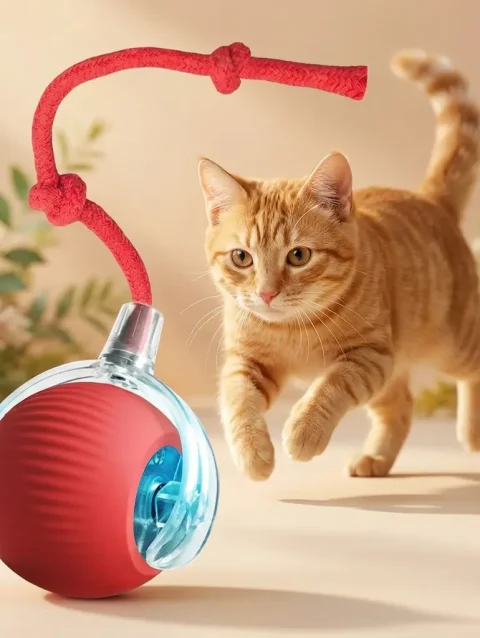 Smart Interactive Rolling Ball