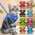 Reflective Breathable Mesh Harness & Leash Set (Cat & Puppy)