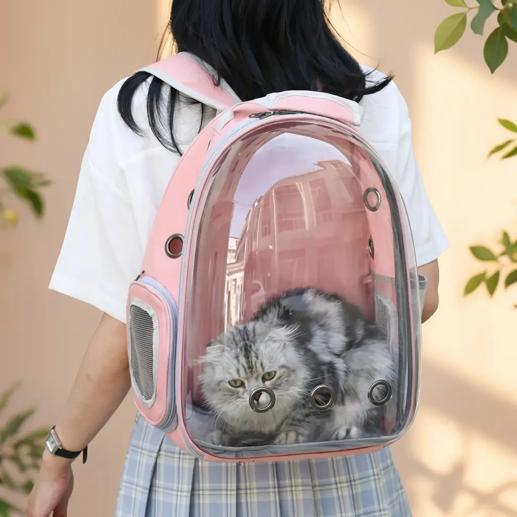 Transparent Cat Bubble Backpack